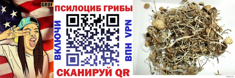хочу наркоту  Алейск  Псилоцибиновые грибы ЛСД 