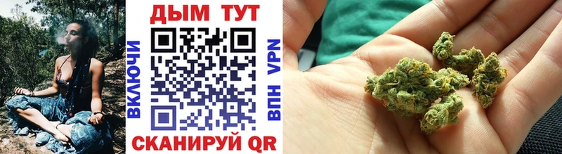 Бошки Шишки SATIVA & INDICA  shop телеграм  Алейск 