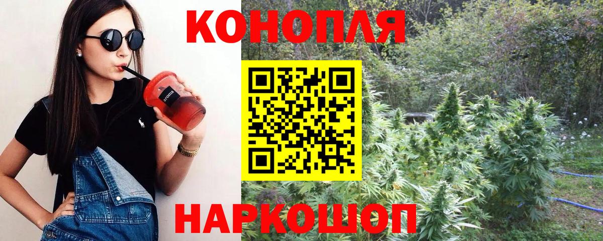 Конопля OG Kush Алейск